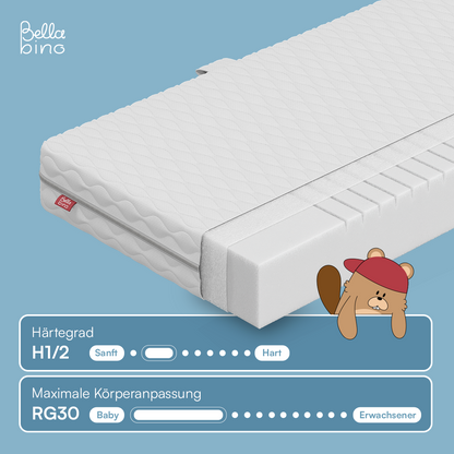 P-BB-0080-01-06