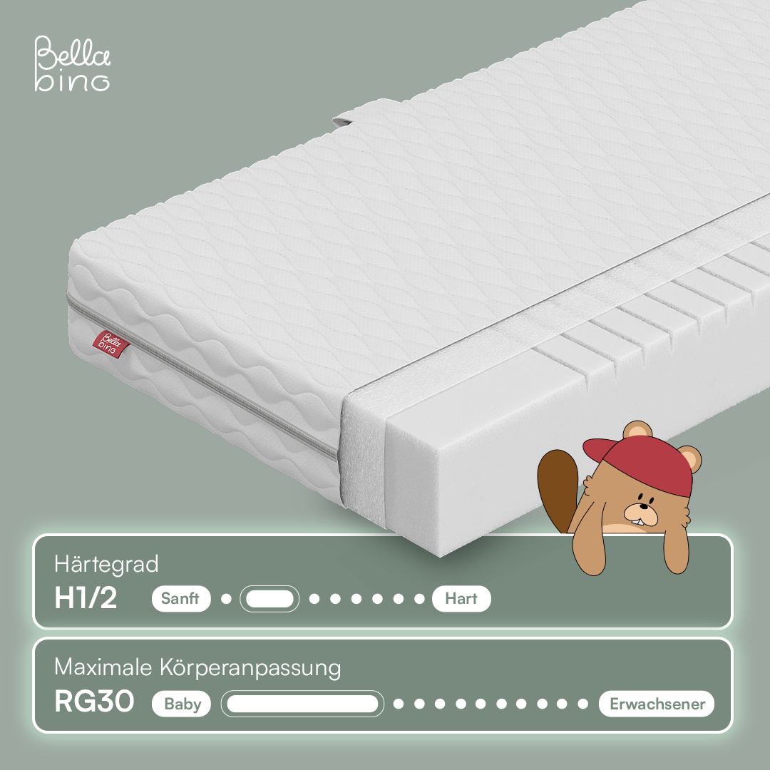 P-BB-0025-01-26