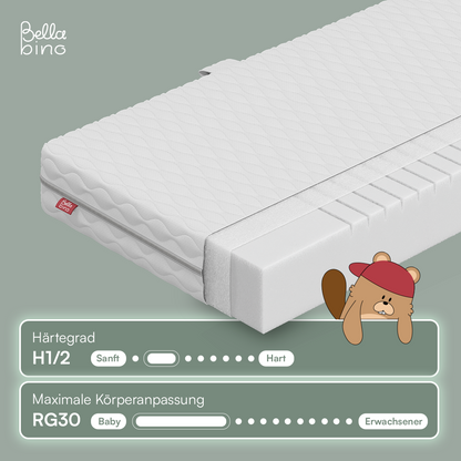 P-BB-0025-01-26
