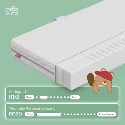 P-BB-0025-99-10